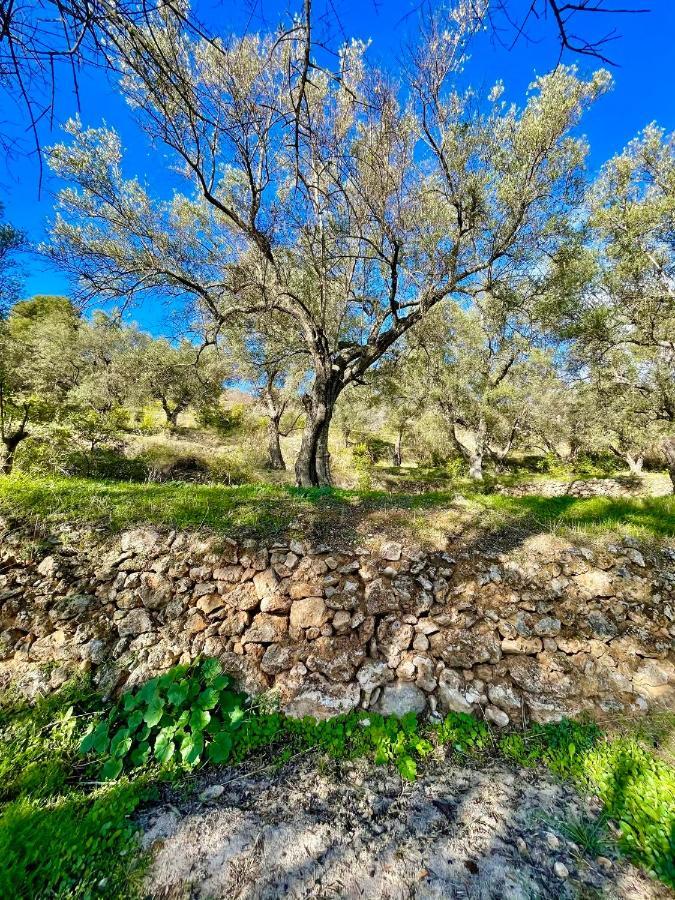 Casa di campagna La Esperanza Granada Luxury Hacienda&private